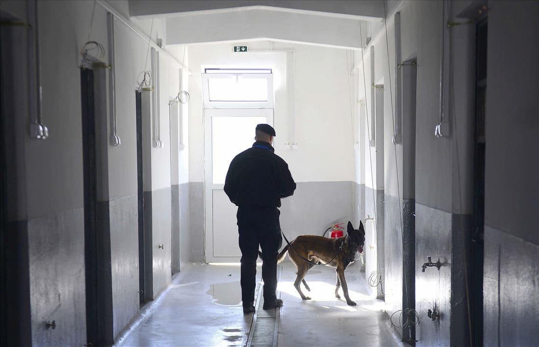 otvoren-nov-regionalen-k9-centar-za-obuka-i-sertifikacija-image-WSxl.jpg