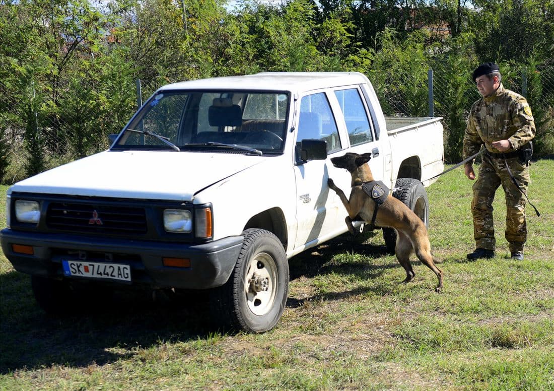 otvoren-nov-regionalen-k9-centar-za-obuka-i-sertifikacija-image-jiQM.jpg