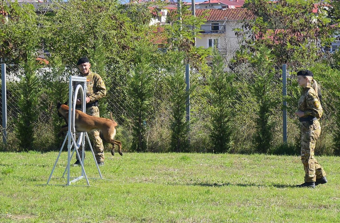 otvoren-nov-regionalen-k9-centar-za-obuka-i-sertifikacija-image-lBNq.jpg