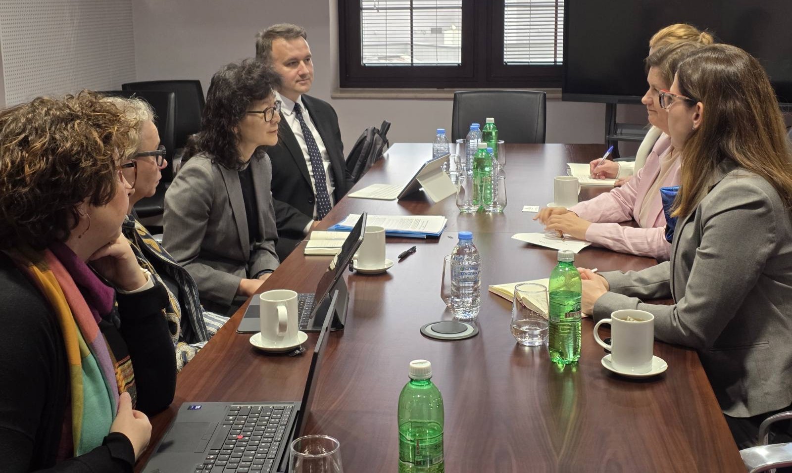 Божиновска-Ју: Модернизацијата во енергетиката и зелената транзиција клучни за енергетска одржливост  