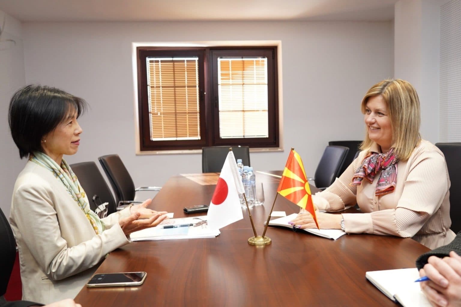 Bozhinovska Meets with Japanese Ambassador Kawahara: Strengthening Energy Cooperation