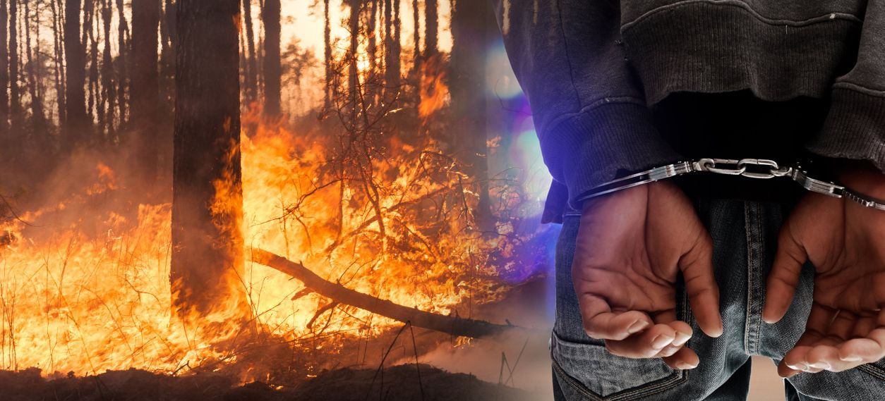 Лишен од слобода радовишанец, се сомничи дека предизивикал пожар на планината Плачковица