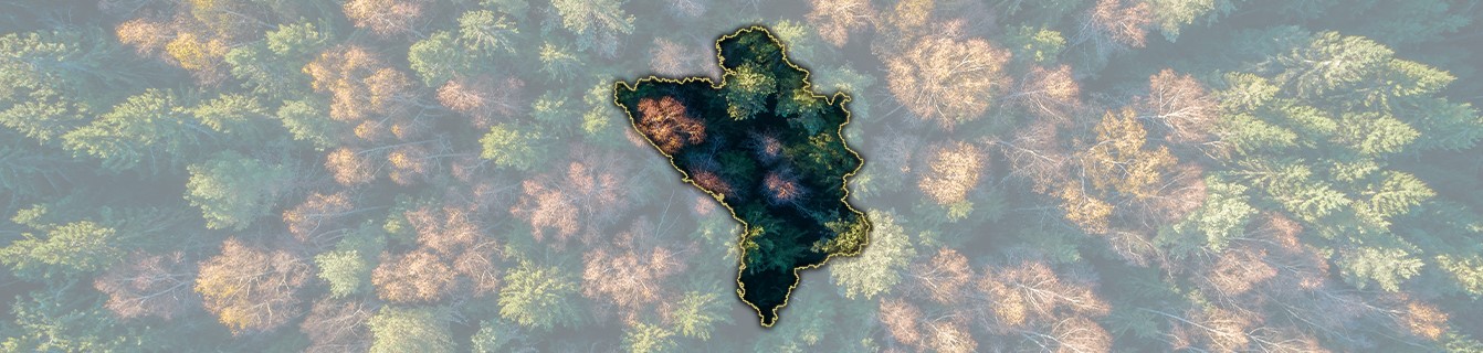 Lorem ipsum dolor sit amet, consectetur adipiscing elit.