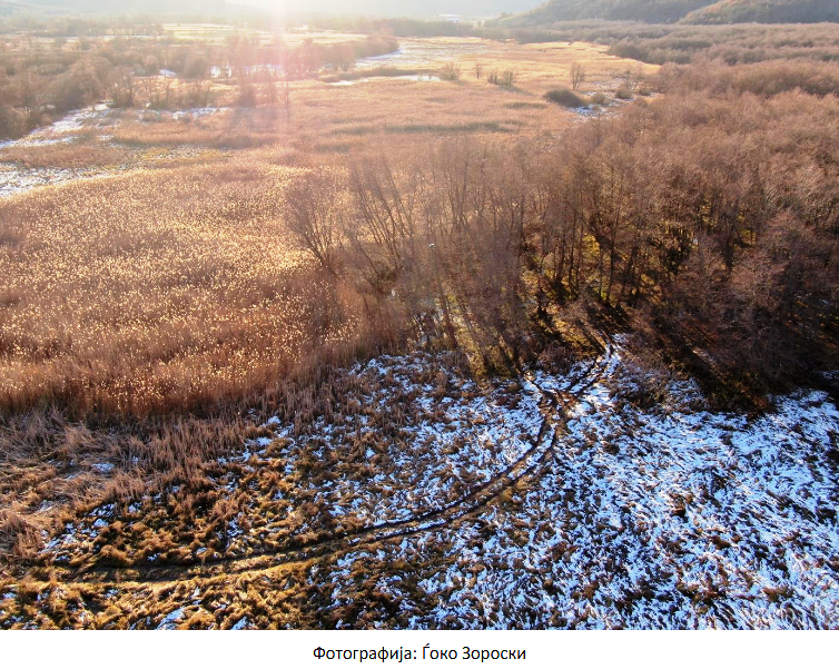 Известување за започнување на постапка за донесување на Предлог на Закон за прогласување на Белчишко Блато за заштитено подрачје во категорија IV - Парк на природа