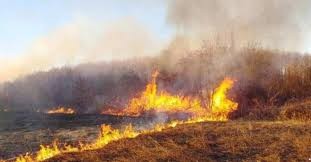 Лишено од слобода лице од струшко, фатен е при обид да опожари сува трева и грмушки, следува пријава