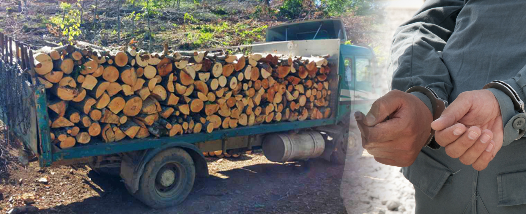 Кривична пријава против двајца вработени во Подрачно шумско стопанство „Кожуф“ – Гевгелија за  „несовесно работење во службата“ и „фалсификување службена исправа“