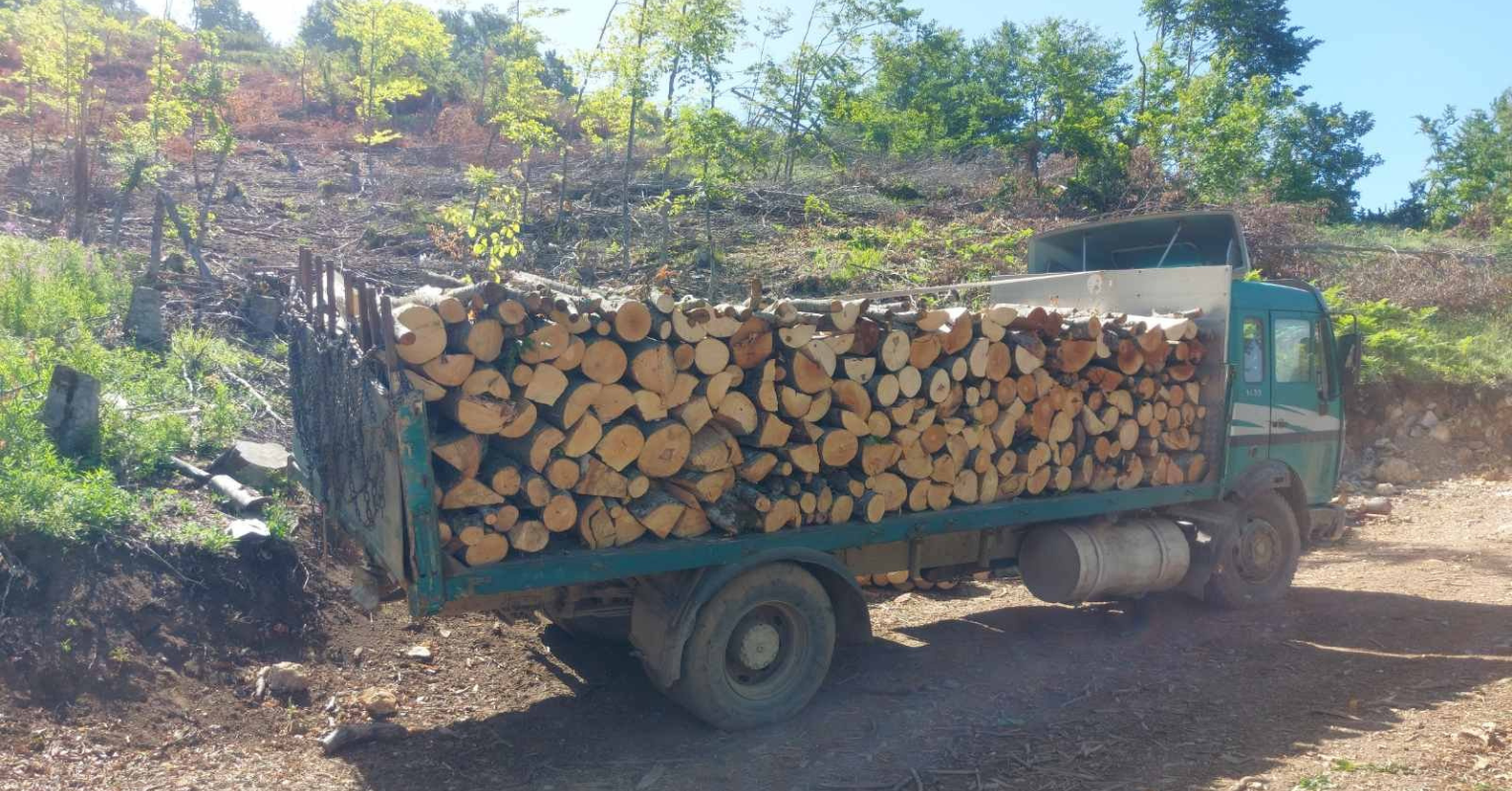 Кривична пријава против осум лица од Виница и виничко за повеќе сторени кривични дела во врска со бесправна сеча и транспорт на огревно дрво