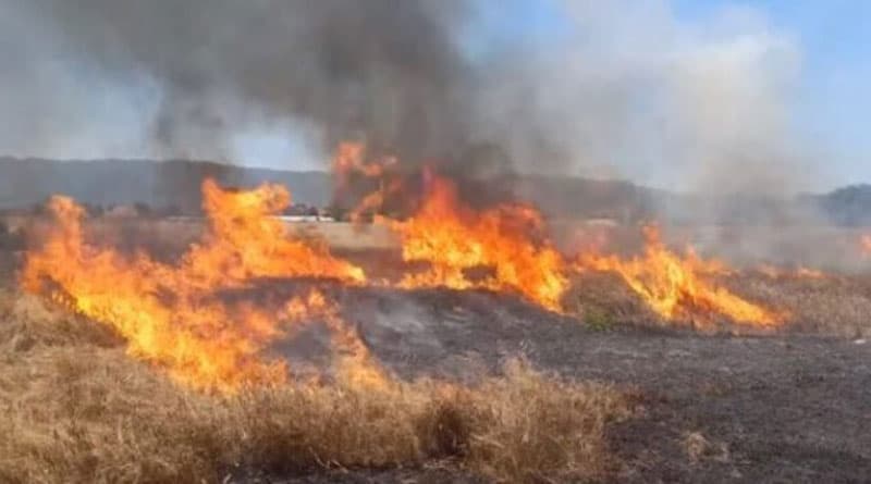 Лишен од слобода малолетник во Скопје кој палел оган и горел кабли