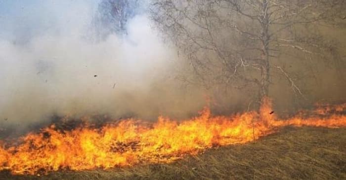 Лишен од слобода скопјанец, кај него пронајдени запалени кабли