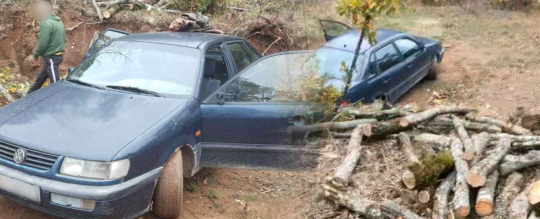 Лишени од слобода петмина прилепчани за кражба на огревно дрво, следуваат соодветни пријави