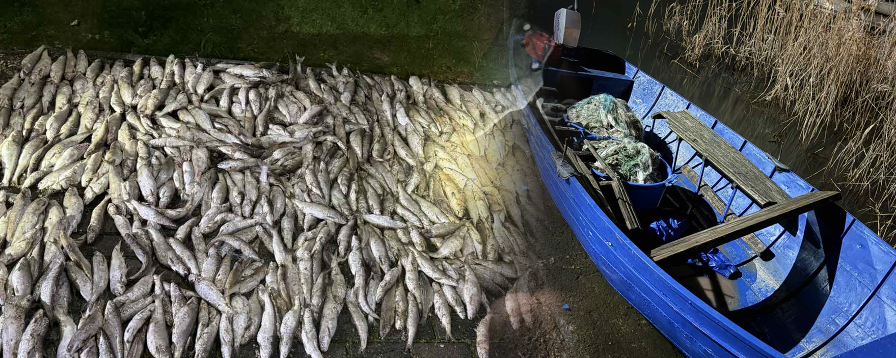 Лишени од слобода рибокрадци во Пештани, запленети над 100 килограми риба и шест рибарски мрежи