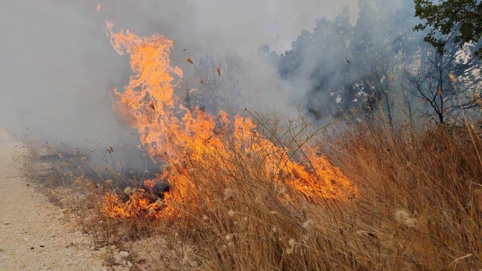 Лишено од слобода лице кое предизвикува пожар во скопско Огњанци