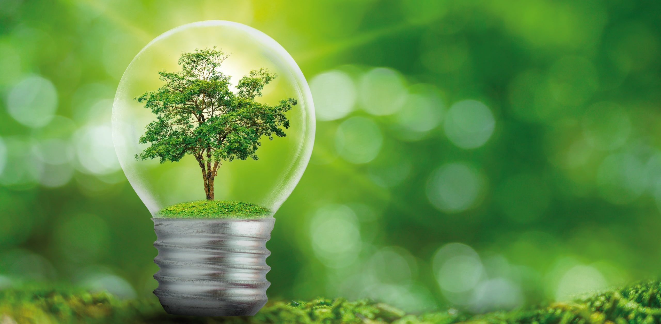 Министерството за финансии со поддршка од Светска банка, инвестира во енергетска ефикасност и модерно осветлување во општините