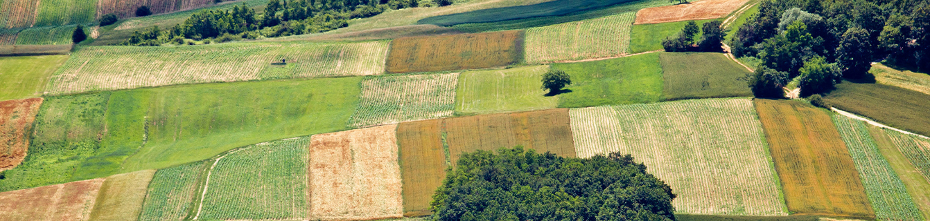 Lorem ipsum dolor sit amet, consectetur adipiscing elit.