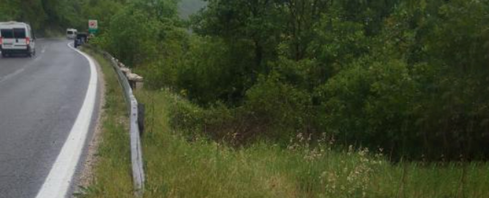 Полициски службеници успешно извлекоа шест лица од излетано возило надвор од автопат