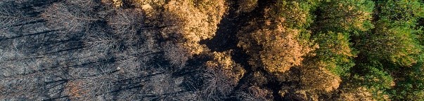 Прекугранична соработка за превенција од пожари на ниво на предел