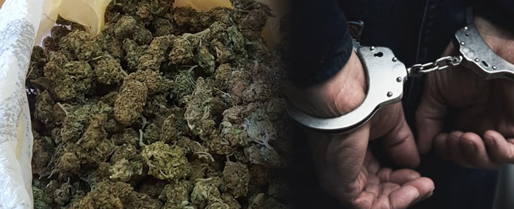 Претрес во Битола, пронајдена дрога, лишено од слобода едно лице