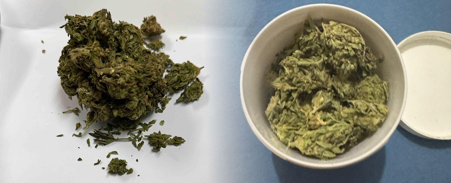 Претрес во Гостивар, пронајдена дрога, лишено од слобода едно лице