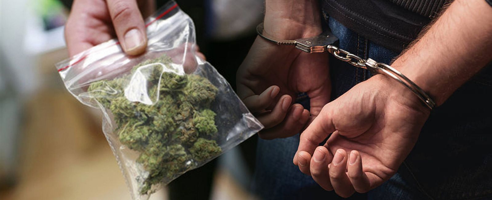 Претрес во гостиварско, пронајдена марихуана, лишено од слобода едно лице