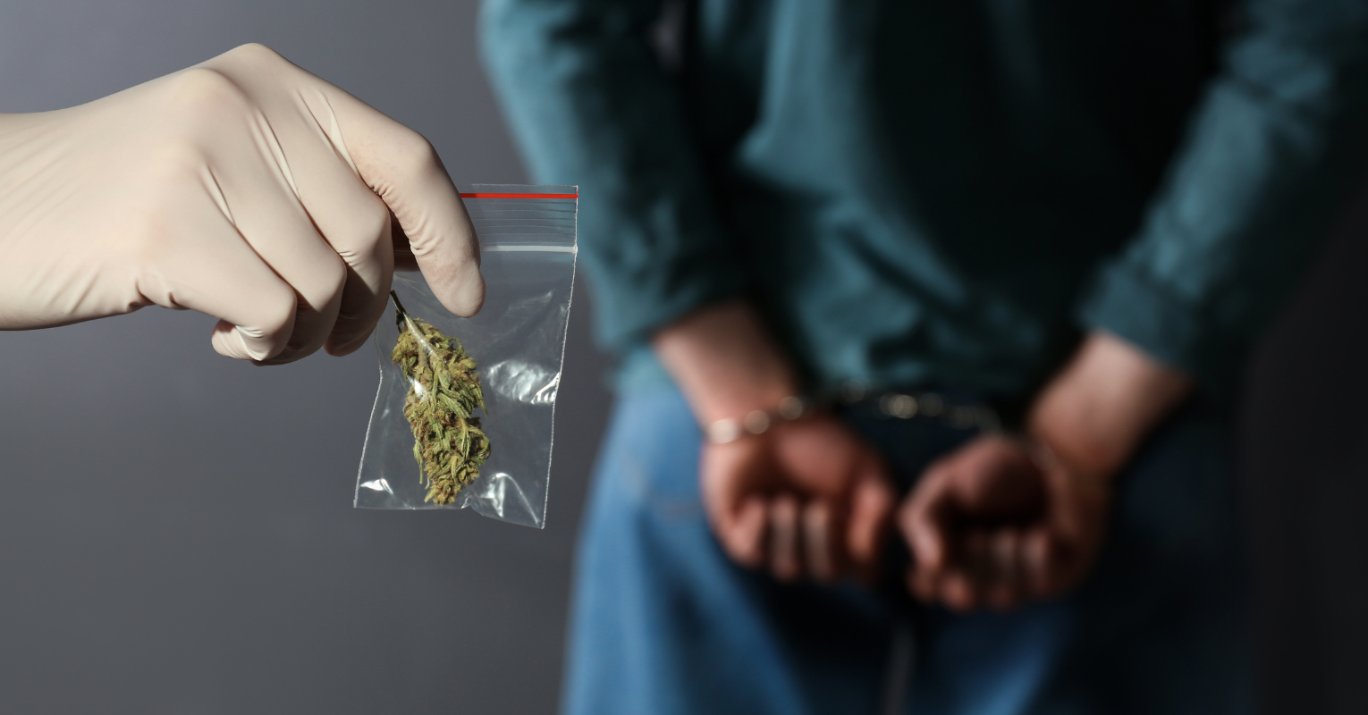 A raid in Kumanovo, marijuana found, one person released