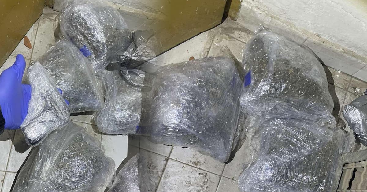 Претрес во Скопје, пронајдени четири килограми марихуана, кокаин, пиштол…