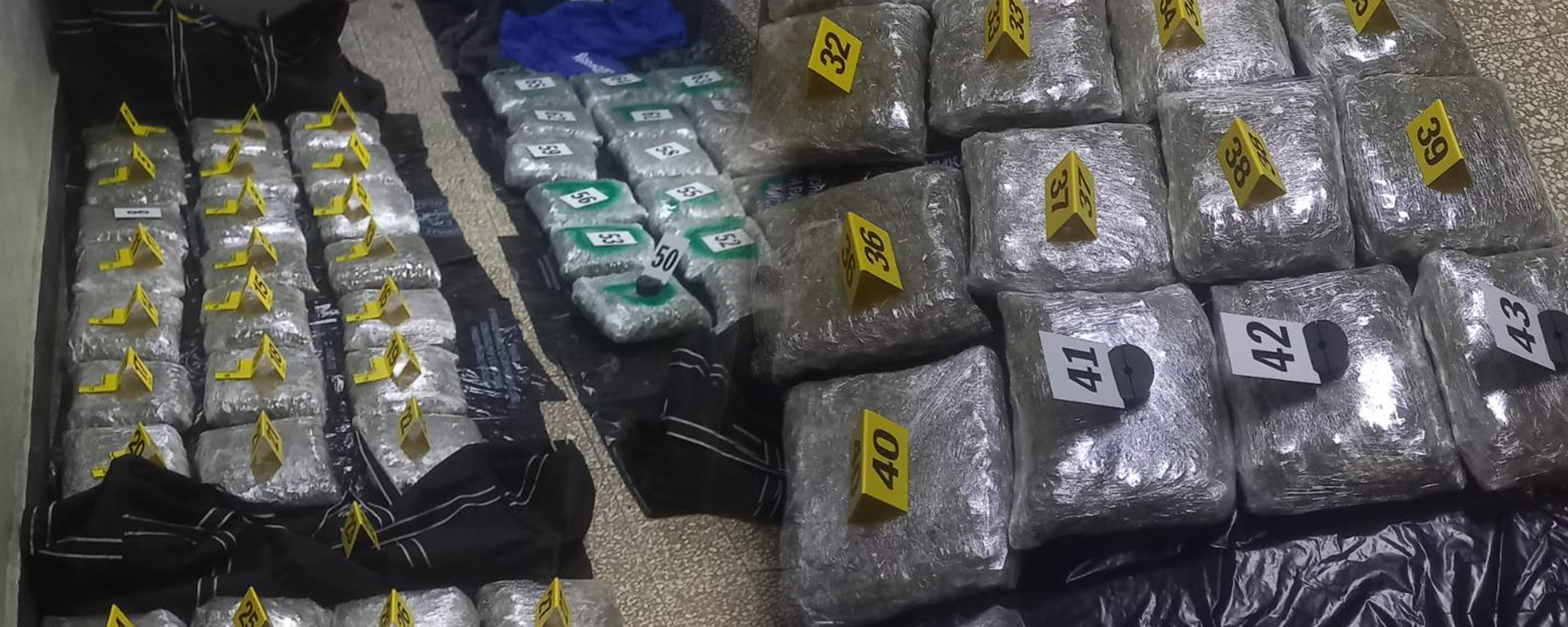 Пронајдени и запленети 62 пакувања со марихуана при претрес на возило во струшко, следува соодветна пријава