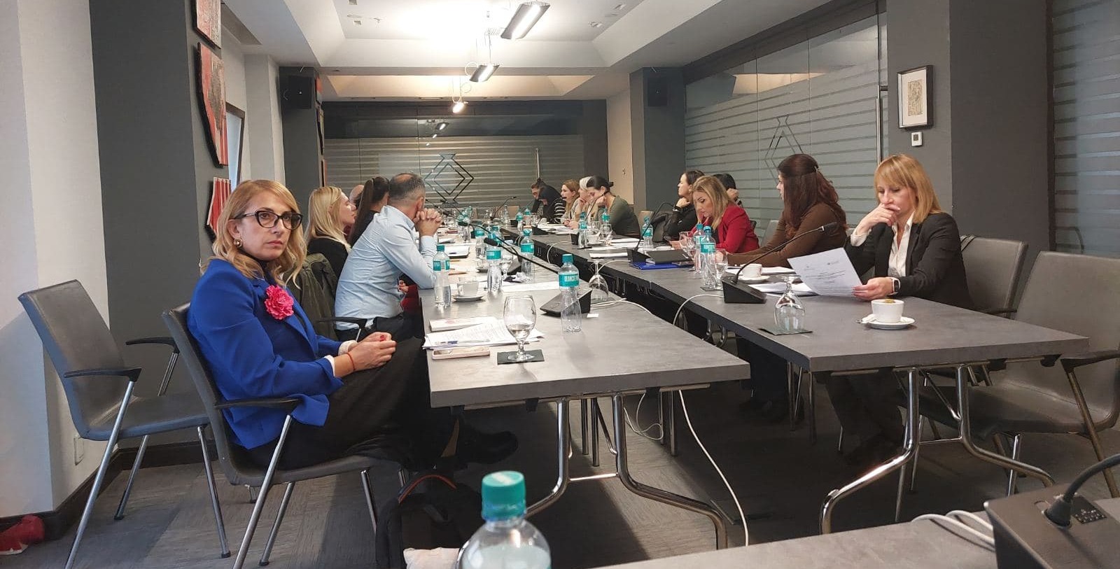 Работилница за заклучните согледувања на Комитетот за човекови права на ООН за Четвртиот периодичен извештај на Република Северна Македонија