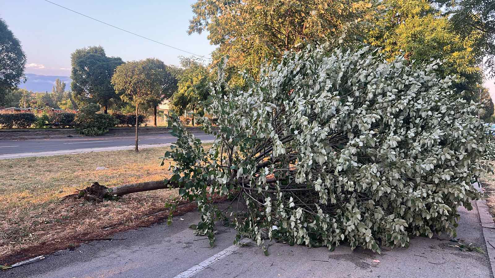 Се расчистуваат последиците од невремето, полицијата ја обезбедува безбедноста на граѓаните
