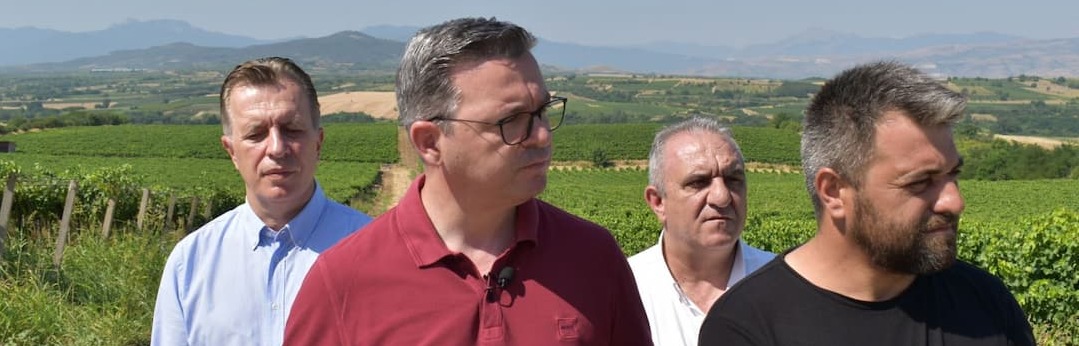 Трипуновски од Кавадарци: Рекордна цена на најзастапените сорти на грозје, Вранец 21,3 денари, Смедеревка 18,9 денари по килограм