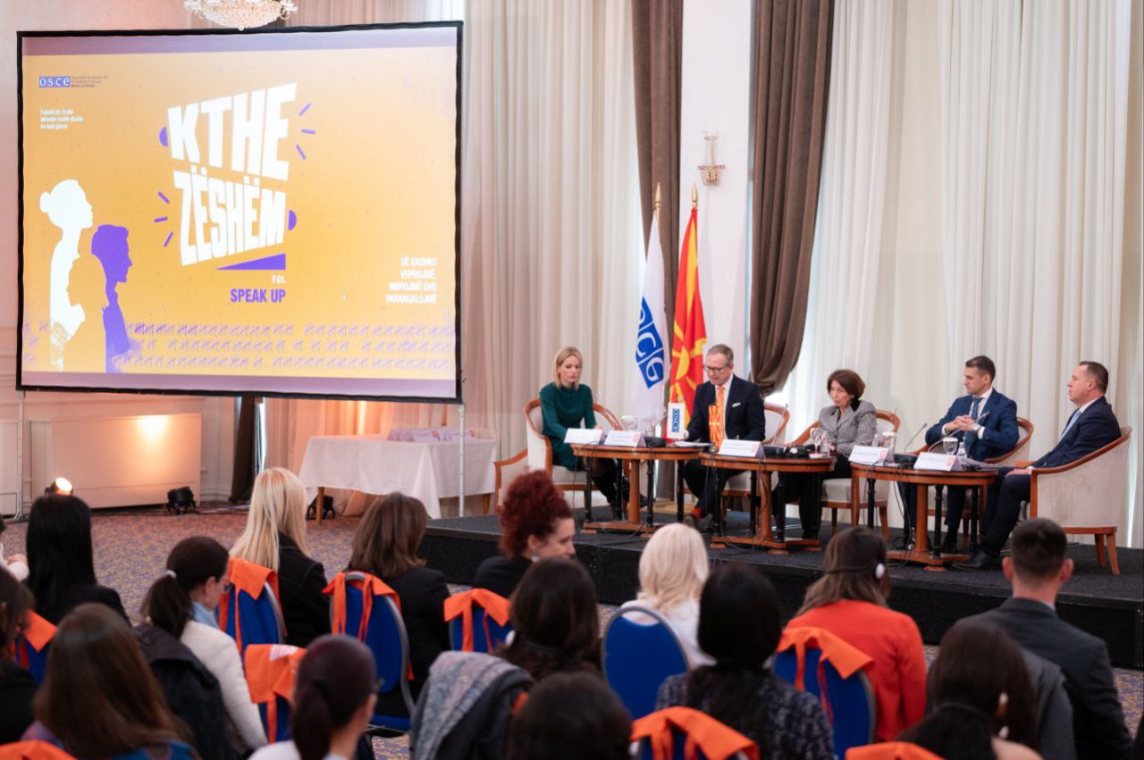 Велковски: Насилството врз жената и семејното насилство не е приватна работа, тоа е општествен, културолошки и системски проблем, кој бара координирана, стручна и долгорочна акција