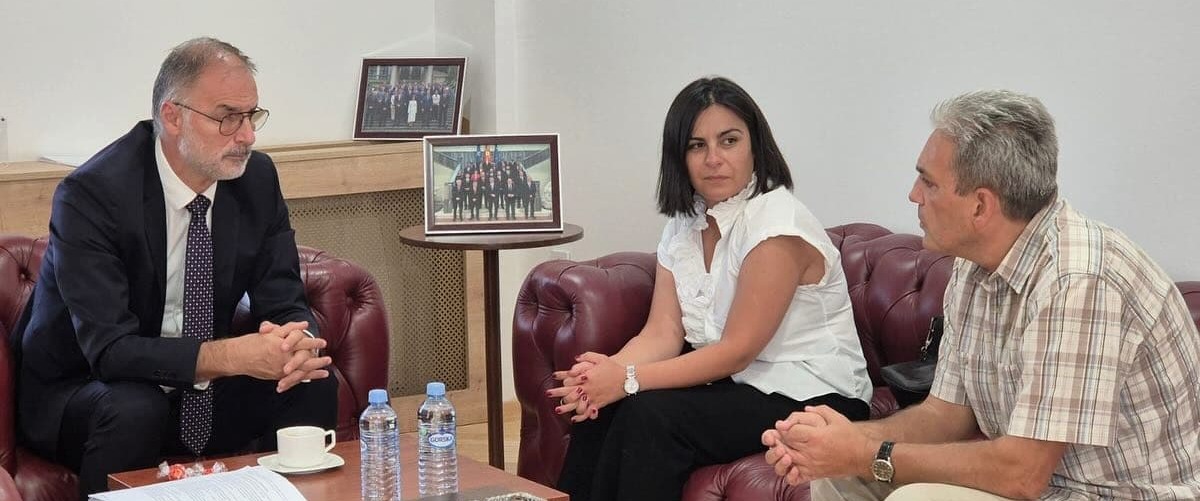 ВИЦЕПРЕМИЕРОТ СТОИЛКОВИЌ НА СРЕДБА СО ПРОФЕСОРИТЕ НАУМОВСКА И АТАНАСОВ