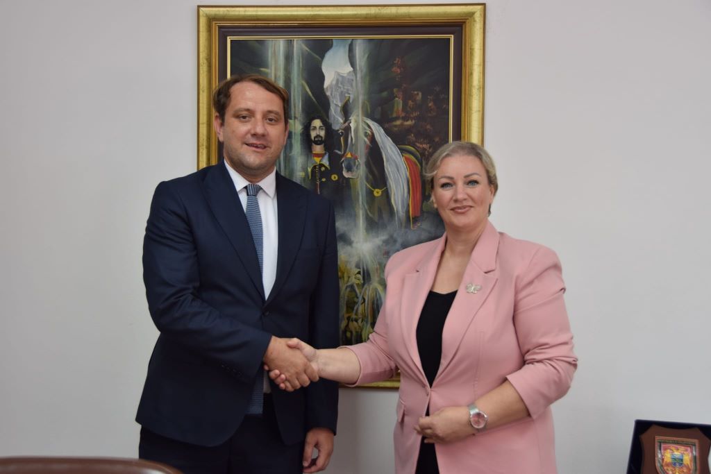 Заменик министерката за одбрана Елфет Исмаили на средба со амбасадорот на Косово Н.Е. Флориан Ќехаја