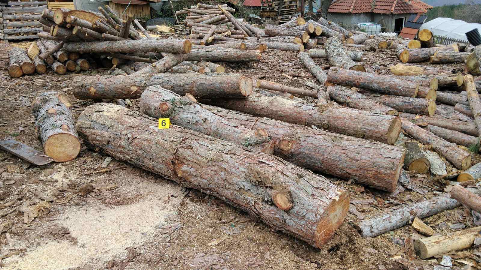 Janë sekuestruar 19 metra kub dru të prerë në mënyrë të paligjshme në territorin e NJPB Dellçevë